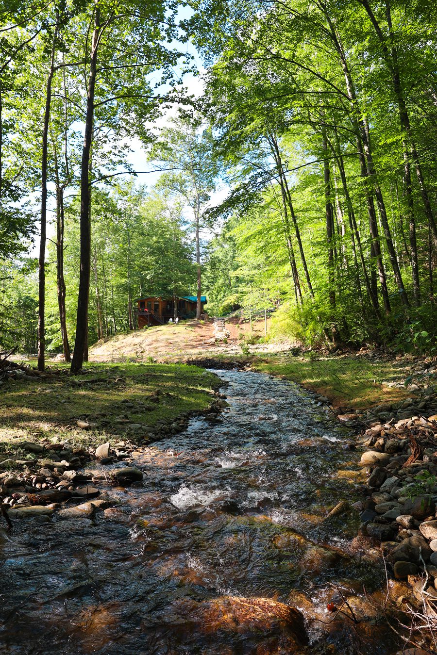 Creekside view looking toward the cabin