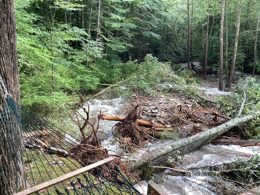 Hurricane Helene floodwaters and debris along Stony Fork Creek by the hammock